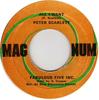 7inch Record PETER SCARLETT  STEVE GOLDING  All I Want  Wanting You NONE Magnum 1973 Jamaica Reggae Ska  Dub Used