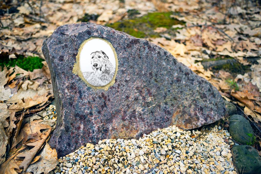 Irish Wolfhound - commemorative plaque with a photo of a dog, tombstone with a print, personalized oval plaque from the Art-Dog brand