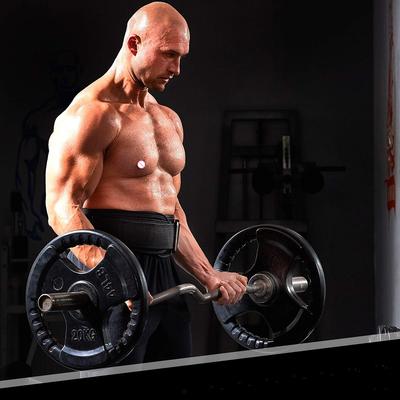 Weightlifting Belt for Men and Women Deadlift Training Belt Waist Support Belt for Squats Deadlifts Cross Training Powerlifting