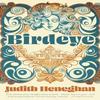 Birdeye by Judith Heneghan Paperback Book 9781784633264