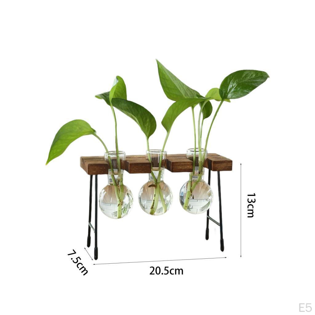 Flower Vase Glass Wooden Frame Transparent Display Flowers Plant Terrarium Modern for