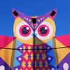 Owl Patterned Kites High Visibility Encourages Motor Skills Development Outdoor Exploration Gift
