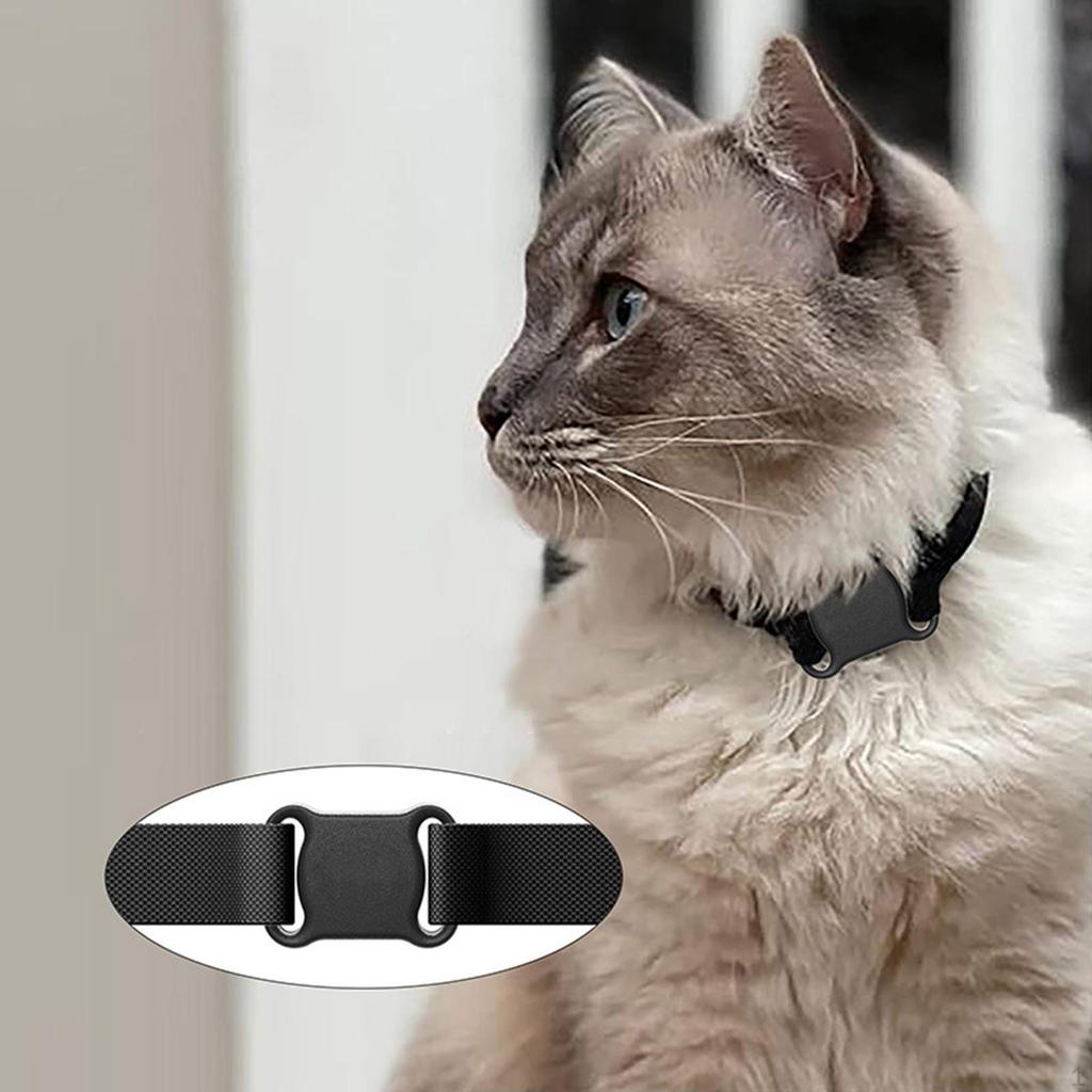 Katzen- und Hundestandort & Aktivitäten für Katzen