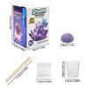 Crystal Planting DIY Scientific Experiment Set, Fun Parent-child Communication, Chemical Experiment, Crystallization Principle