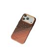 Kevlar Carbonfaser Magnetische Schutzhülle für iPhone 17 Pro Max