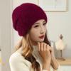 Korean Double-Layer Warm Wool Knit Hat with Velvet, All-Match Winter Fashion for Women