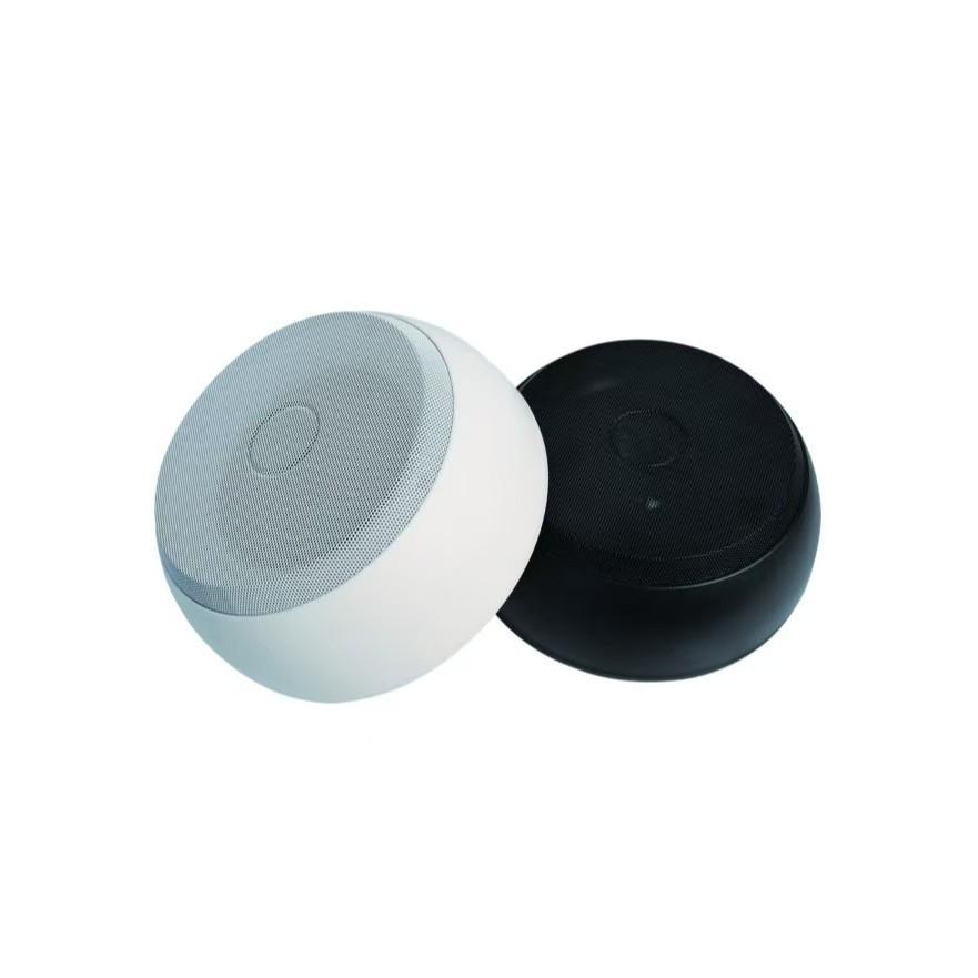 Tianlai TL-D53 Surface Mounted 20W Ceiling Speaker for Homes Without Suspended Ceilings