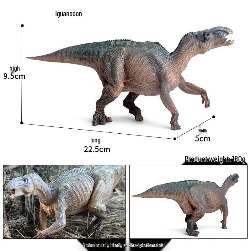 Dinosaur Toy: Realistic Solid Core Iguanodon & T-Rex Model
