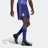 adidas Argentina 22 Away Active Shorts Asia Sizing 'Blue' Men's HB9213