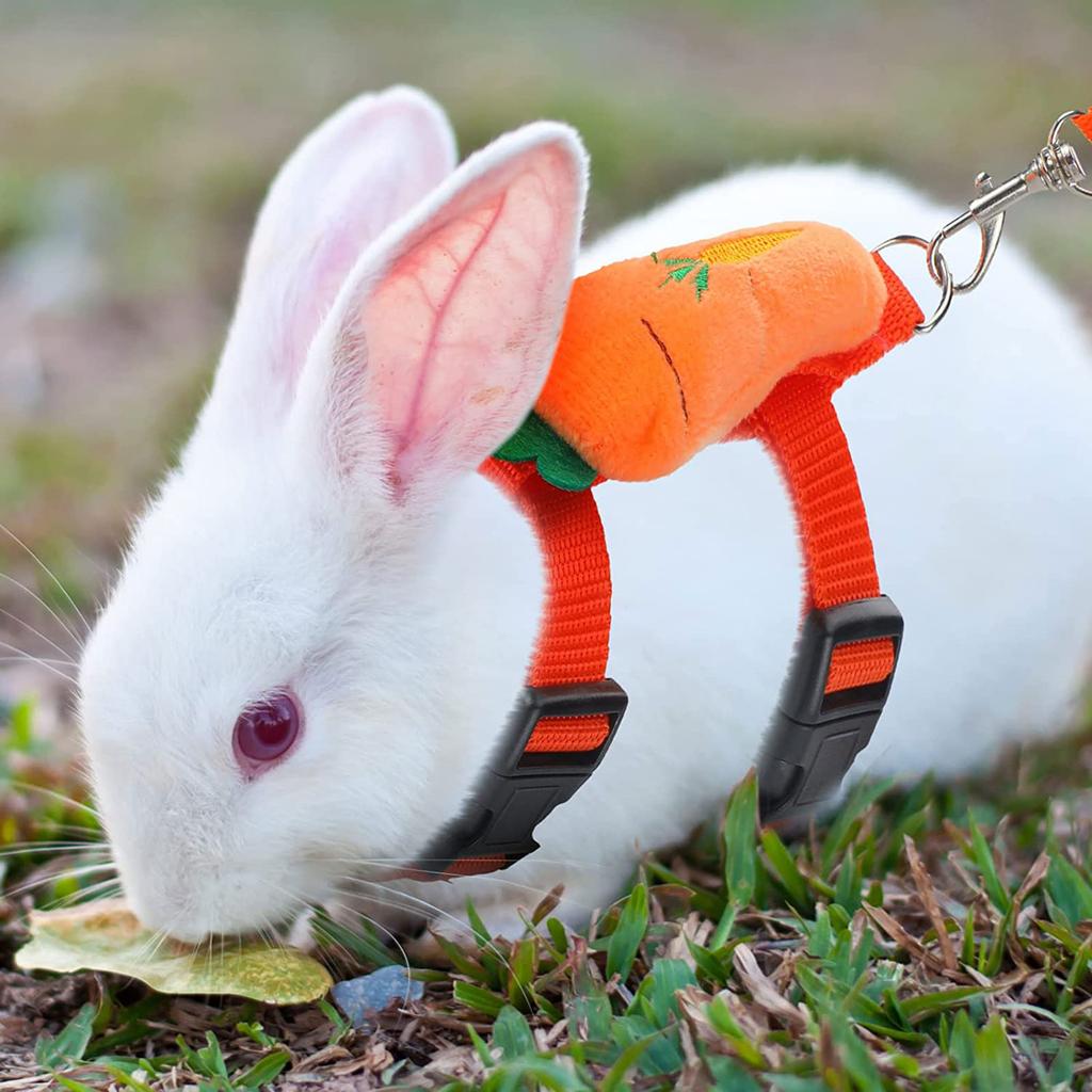 Rabbit Harnesses Small Animal Harness and Leash Set No Escape Adjustable Cute Costume for Hamster Bunny Guinea Pig