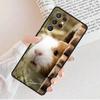 Hamster Guinea Pig Phone Case For Samsung Galaxy S25 S23 S30 S8 S21 S20 FE S24 S22 Note 10 20 S8 Plus Lite Ultra