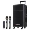 SANSUI TE12 12-inch Portable Outdoor Karaoke Speaker (CN Version)