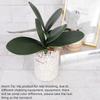Artificial Phalaenopsis Simulation Moth Orchid Leaf Real-touch Orchid Leaves Flower Plant Home Decoration Landscaping