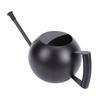 Watering Can for Outdoor Indoor Plants, Small 1000ML Stainless Steel Watering Pot with   Spout, Removable Nozzle, Metal Water Can for House Plant
