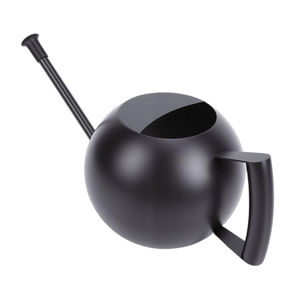 Watering Can for Outdoor Indoor Plants, Small 1000ML Stainless Steel Watering Pot with   Spout, Removable Nozzle, Metal Water Can for House Plant
