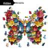 HOOLOOG Wooden Butterfly Flower Irregular Jigsaw Puzzle & Money Box