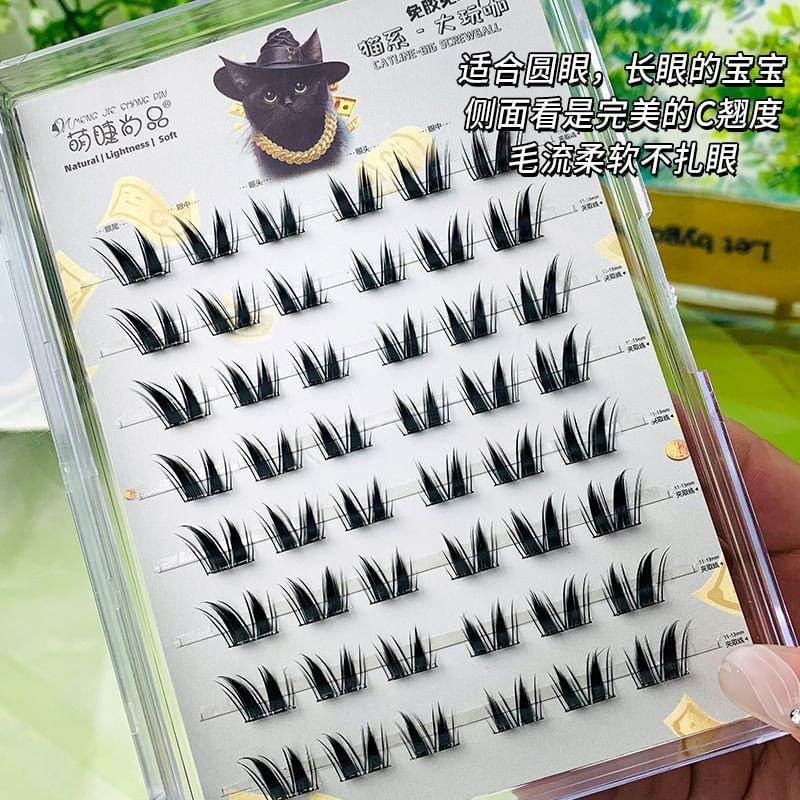 Aimo - Klebefreie Wimpern-Cluster