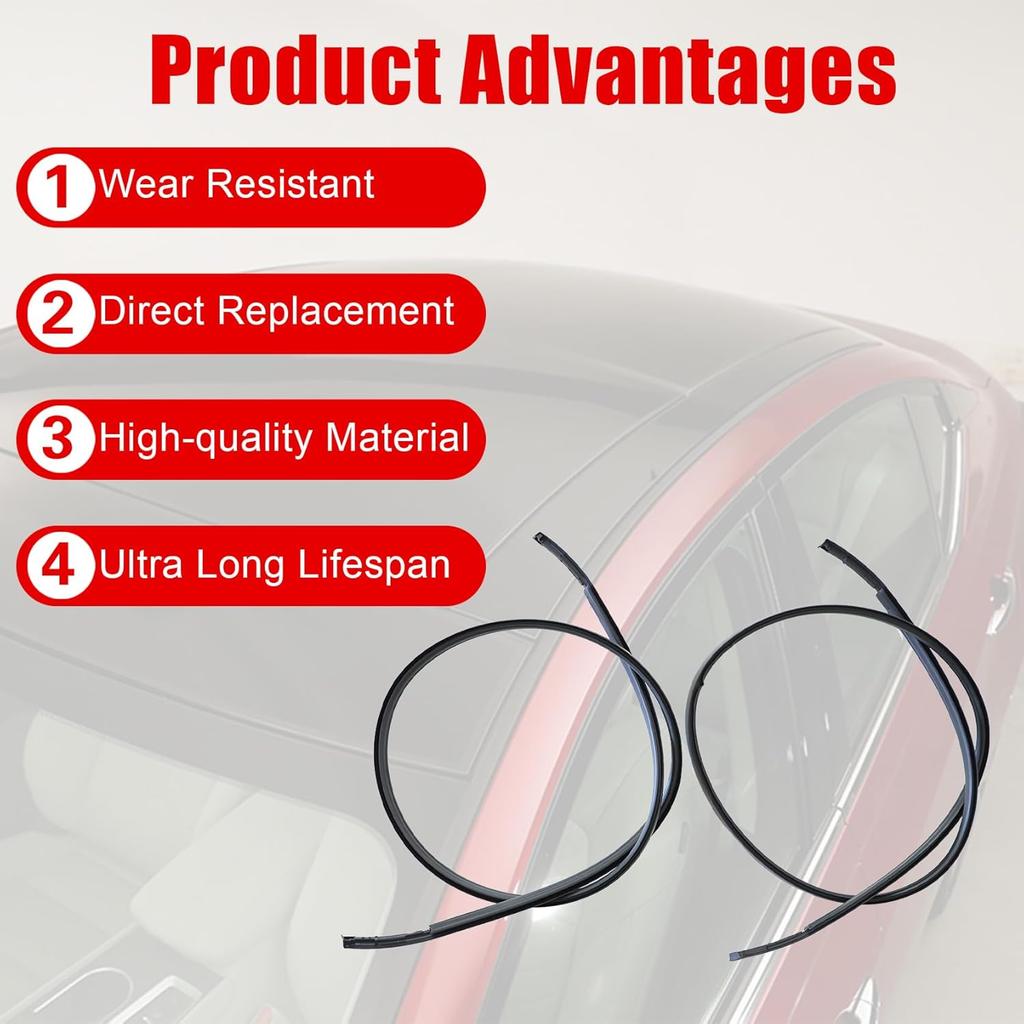 FZJDSD 738539AN0A 738529AN0A Left and Right Side Roof Drip Molding Strips Weatherstrip 116.52inch Compatible with Nissan Sentra 2013-2018 Roof Drip