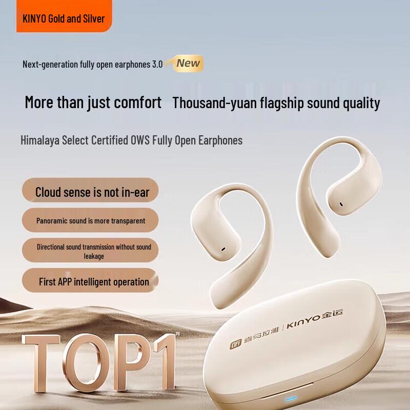 Jinyun SKY 5 True Wireless Bone Conduction Ear-hook Bluetooth Headphones