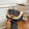 Sweet Lace Ladies Flap Crossbody Bag Polka Dots Vintage Canvas Sling Bag  Daily Use