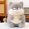 Cute Drag Cat Doll Spoof Kitten Doll Plush Toy with Sleeping Throw Pillow Men and Women Birthday Gift