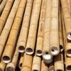 BioBamboo Stick bamboo pole 60cm 22-30mm bamboo