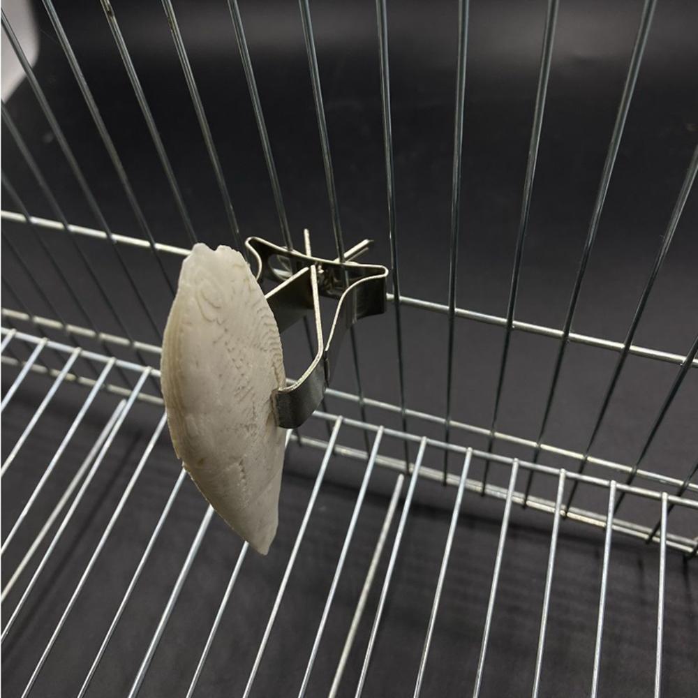 

Зажим для кормления овощей и фруктов из нержавеющей стали, зажим для кормления попугаев, держатели для еды для птиц