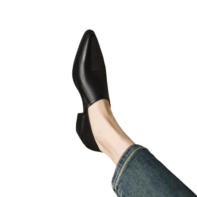 Leather Deep Mouth Single Shoes Women Spring Autumn New Coarse Heel Pointed Toe Retro Small Leather Shoes Women Slip-On Mid