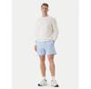 Шорты Tommy Jeans DM0DM21931