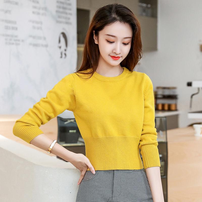 Knit Short Top Base Layer Fall Winter Slim Fit Long Sleeve Round Neck Inner Wear High Waist Sweater Women