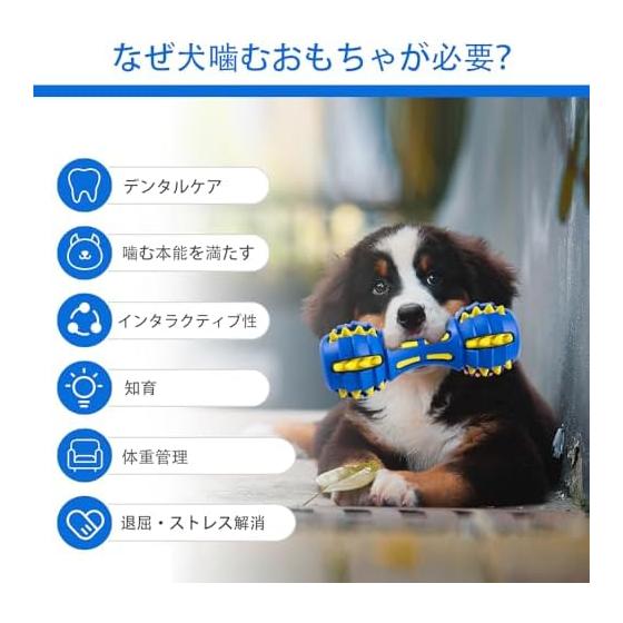 AUSCAT Dog Toy Chew Toothpaste Dental Toy Sturdy Sound Dog Toy Large Dog Medium Dog Dumbbell Blue Yellow