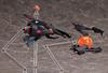 Figma R TYPE FINAL 2 SHOOTING GAME HISTORICA R TYPE FINAL 2 R 13A 10 ALBATROSS Painted Movable Figure F51035 CERBERUS/RX Non-scale ABS&POM