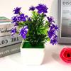 With Pots Artificial Rose Potted Plant Miniscape Fake False Plants  Wedding Party Decortion