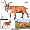 Wild Animal Figurines: Dinosaur, Lion, Tiger, Leopard, T-Rex, Zebra Models