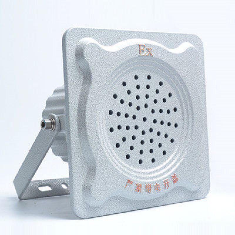 

RSRDDY 25W Explosion-Proof Speaker for Fire Broadcast