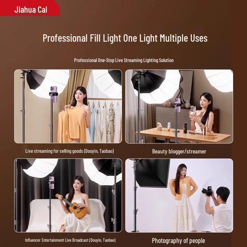 LED Beauty Sphere Fill Light for Streamers and Photographers