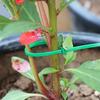 Green Nylon Cable Ties Self-Locking Cord Ties Wire Binding Wrap Straps for Plants Garden Fence Fixed Fastener Rings