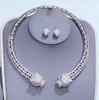 European and American Exaggerated Color Zircon Leopard Head Necklace Earrings Set Luxury Retro Court Style Full of Diamond Jewelry Accessories