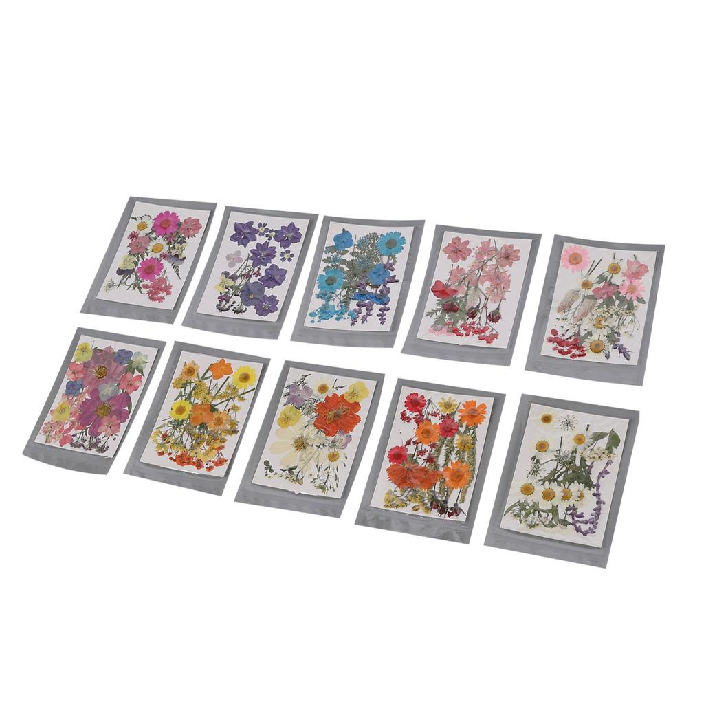 18Pcs Pressed Flowers Dried Leaves Bulk Kit for Crafts Resin Mould Scrapbooking DIY Accessories