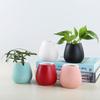 Modern Ceramic Flower Pot - Glazed, Colored Design for Home Decoration