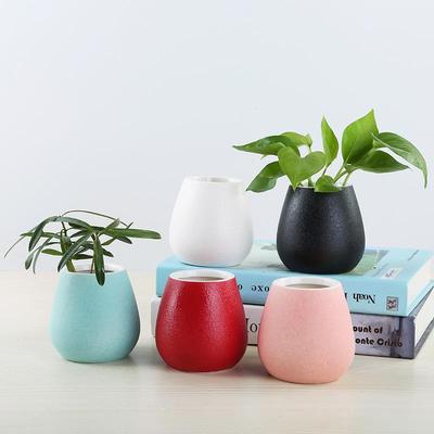 Modern Ceramic Flower Pot - Glazed, Colored Design for Home Decoration