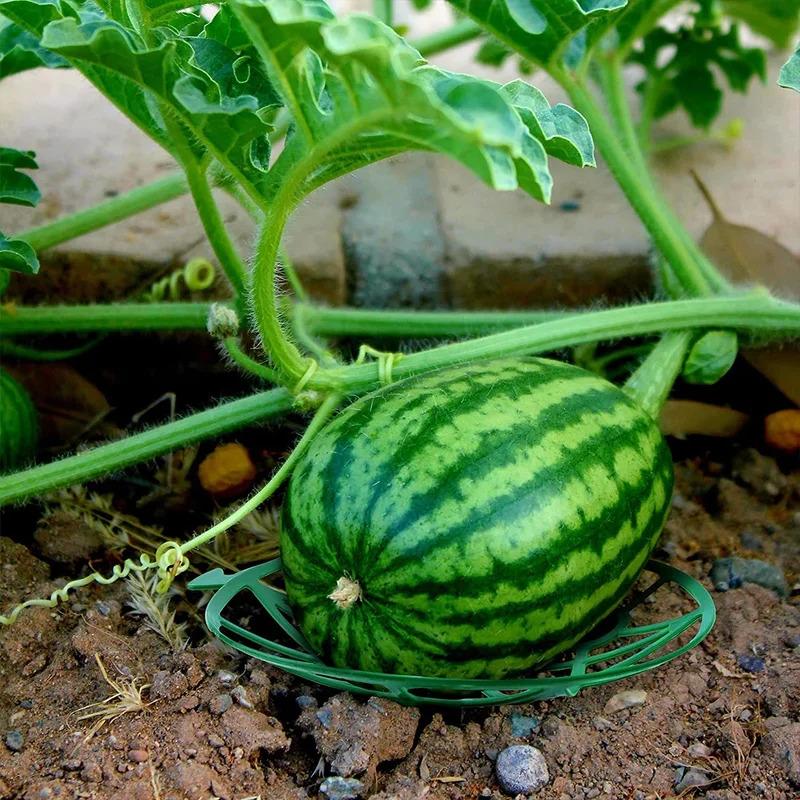 5/10Pcs Melon Supports with Watermelon Net Melon Hammocks Cradles with Zip Ties Plant Pumpkins Holder Vegetable Cradles Fruit