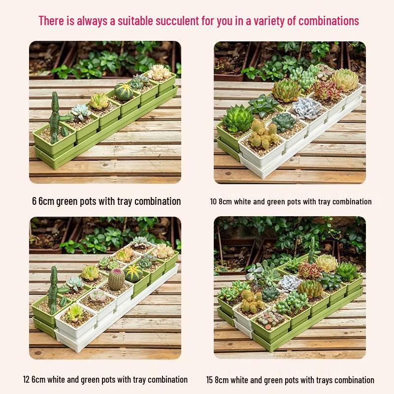 Feng Ge Tu Square Resin Succulent Pot with Trays