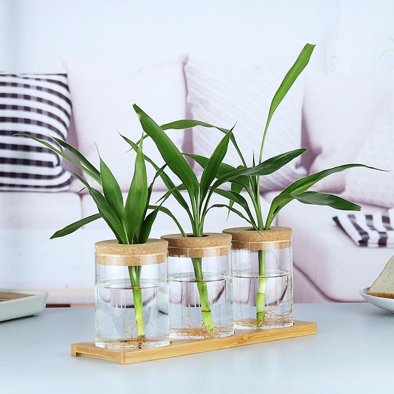 Mini Glass Flower Pot for Indoor Plants - Hydroponic Ornament with Moss Landscape