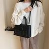 Fashion Handbag Bag Women's New Simple Small Square Bag Personalized Shoulder Bag Trendy Casual Messenger Bag