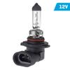 VISION H10 12V 45W PY20d Bulb