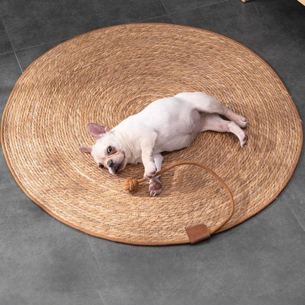 40/50/60cm Cat Scratcher Bed Weaving Cat Scratching Post Cat Scratch Pad Cat Toys