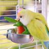 Stainless Steel Parrot Feeder Splash-Proof Vegetable Skewer Bird Food Holder  Pet Container