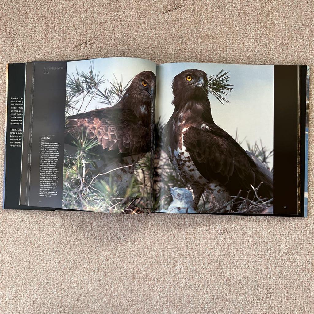 [USED] Foreign Books: Wildlife Photographer of the Year