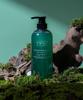 Offresh Scalp & Hair Loss Cooling Scalp Shampoo 700ml
